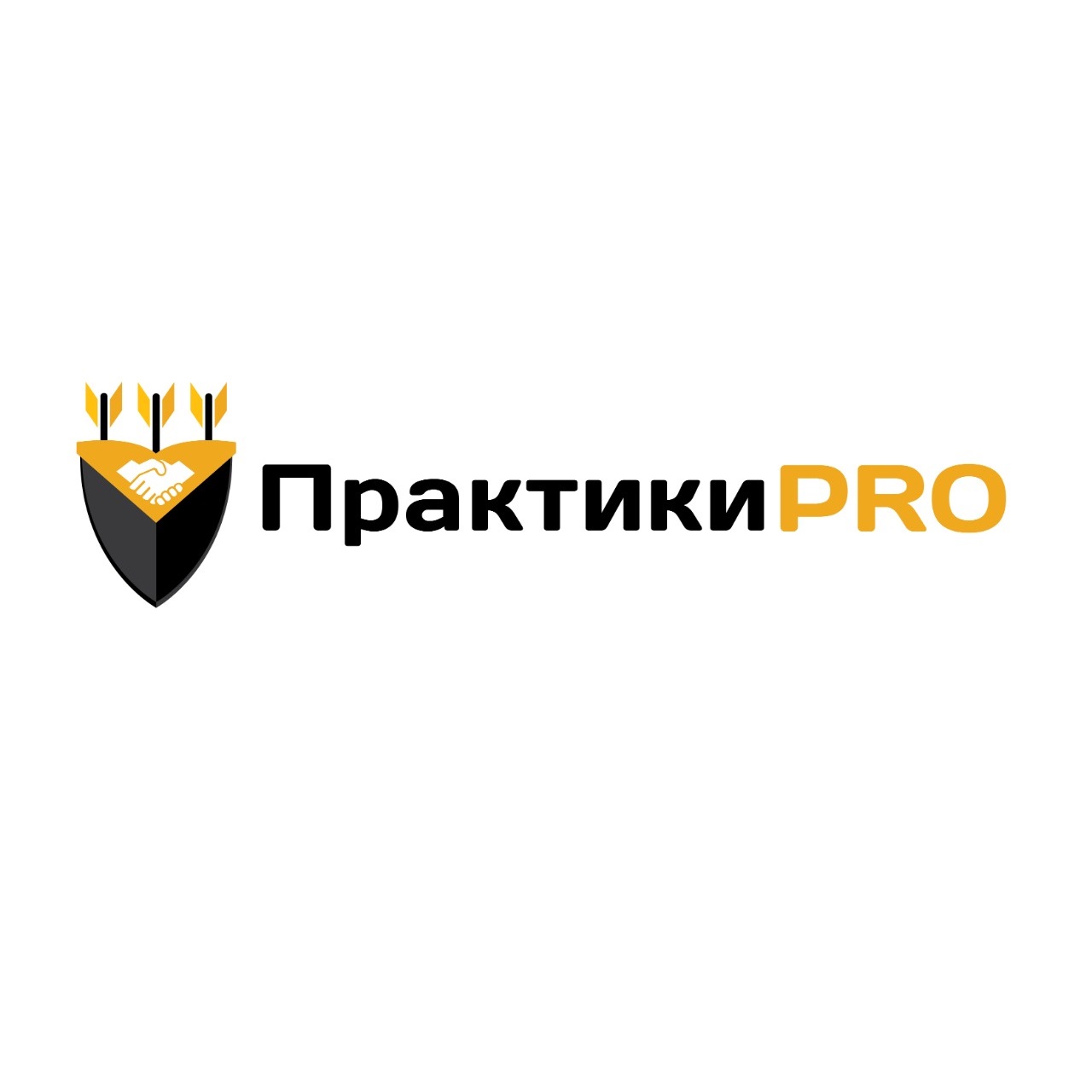 Логотип компании Продюсерский центр Практики PRO